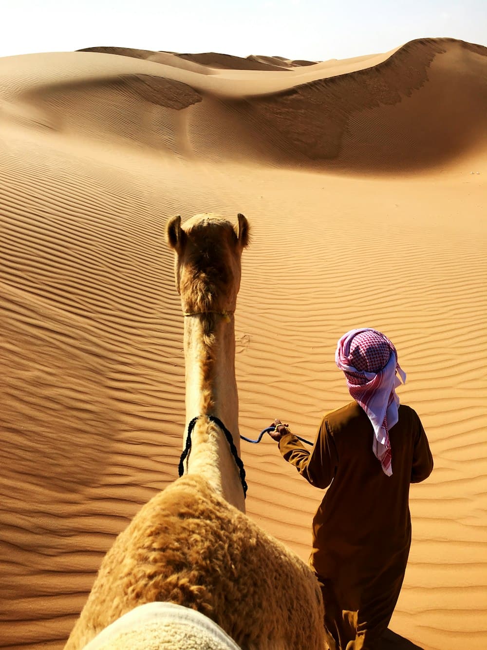 Wahiba Sands, Oman